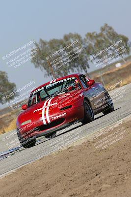 media/Oct-14-2023-CalClub SCCA (Sat) [[0628d965ec]]/Group 4/Qualifying/